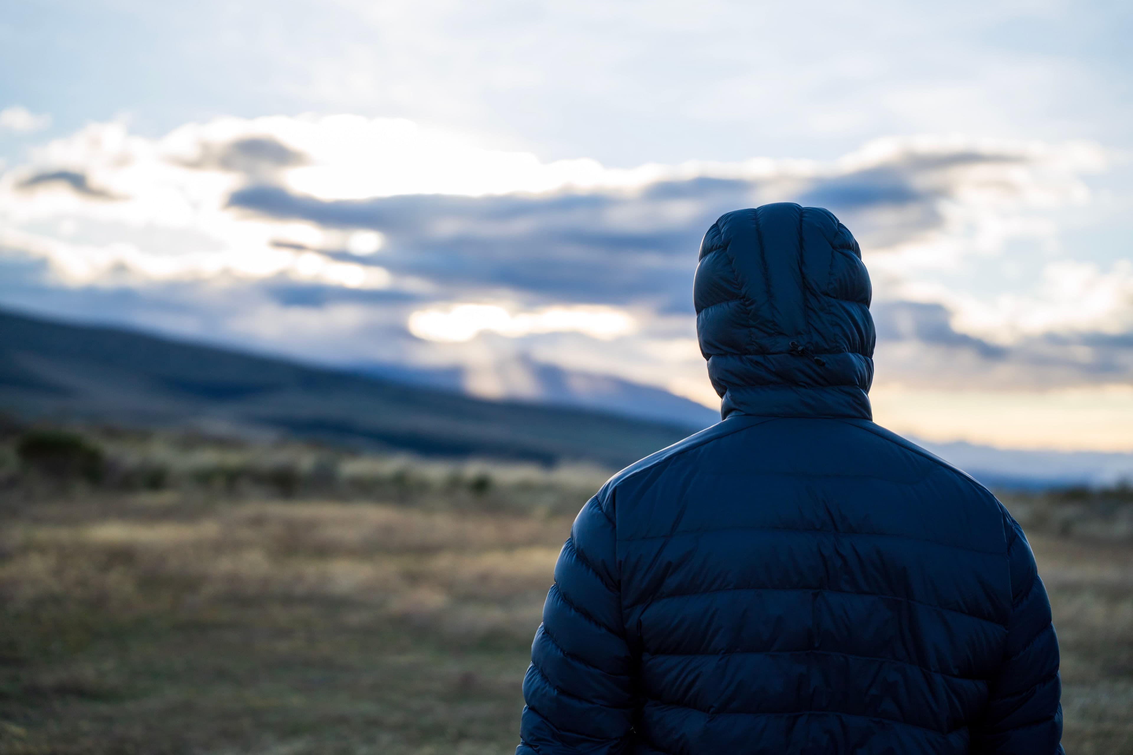 Hooded, Highland Dusk