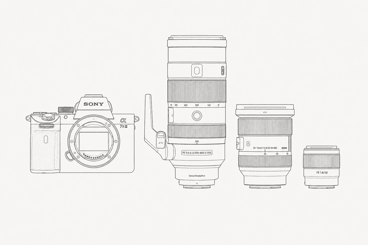 Sony α7R III with Sigma 24–70mm f/2.8, Sony 50mm f/1.8, and Sony 200–600mm f/5.6–6.3 lenses.