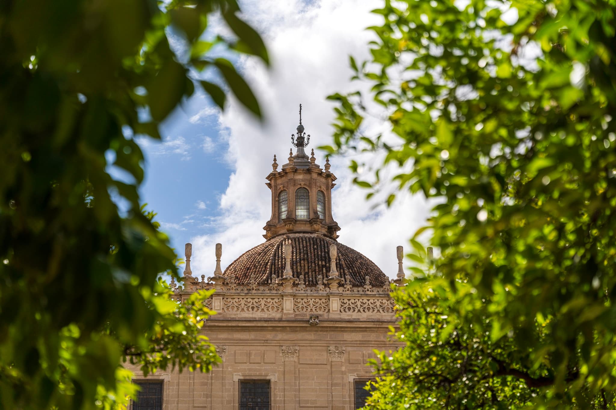 Dome Through Leaves