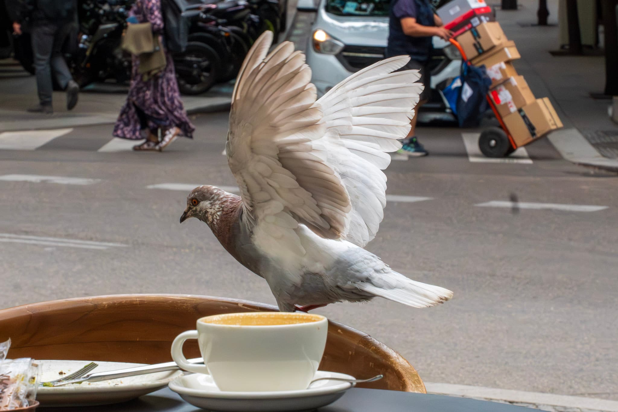Café Pigeon, Paris