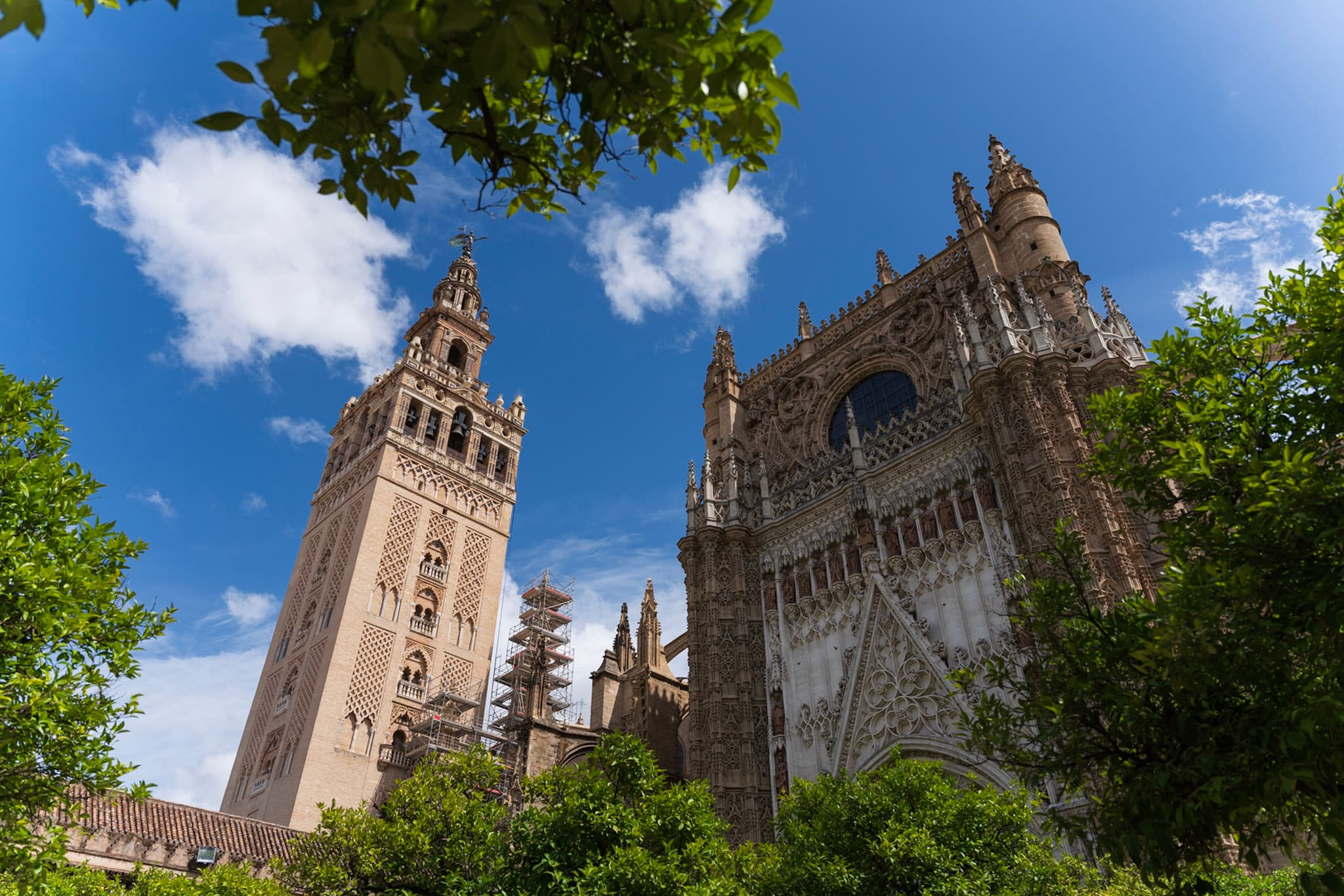 Giralda, Orange Grove